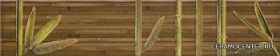 Africa braz B ������ 50 x 10
