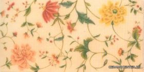 Arancio Diva Decoro A 18*36