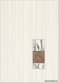 ����� Organic braz classic 25x35