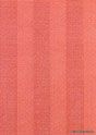 Aramis Rayas Rojo ������ ������������ ������ : 31.6 x 45