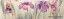 ������ CENEFA NINFA ������: (10x33.3)