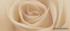 Decor zenon beige