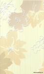 DELICATE beige inserto C 30x50 v7