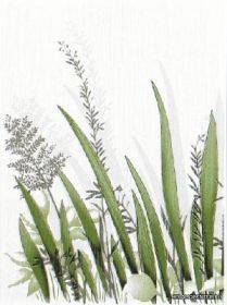 SUKCES ����� DS Trawa L 25x33,3 ��