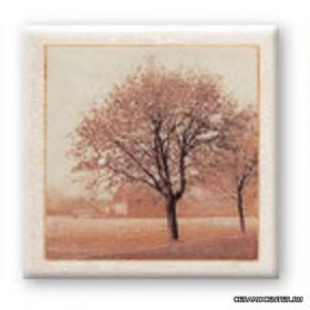 CERKOLOR ����� 9,8x9,8 �� ����� 2