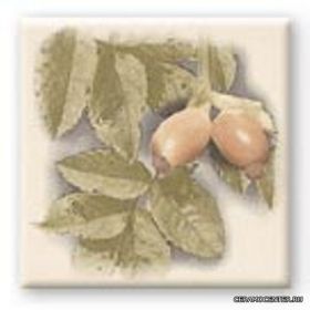 CERKOLOR ����� ROZA creme