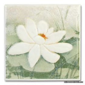 CERKOLOR ����� Lilie motyw B 10x10 ��