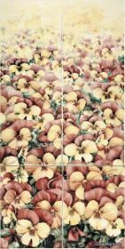 FIORI ����� DS Fiori Giallo 25x33,3 PBx6