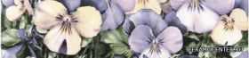 FIORI ������ LS Fiori viola listwa 5,8x25 ��