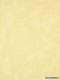 FIORI ������ ������������ SB Fiori Giallo 25x33,3 ��