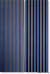 ����� EMOZIONE RIGHE COLORE INSERTO S/2 ������: 61�91.5