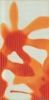 Ins. Elements Inspiration Naranja