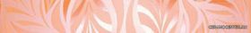 Gloss orange ������ 6x50