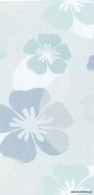 Visage Aquam A Iris ������ 30X59